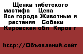 Щенки тибетского мастифа. › Цена ­ 30 000 - Все города Животные и растения » Собаки   . Кировская обл.,Киров г.